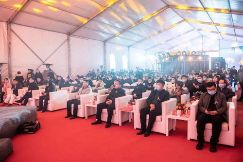 地王实业集团“悦”系列精装房产品首发亮相阳光城