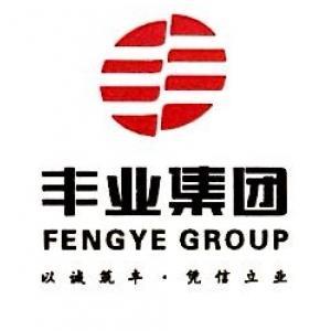 重庆丰业实业发展(集团) 实业集团的崛起与未来展望