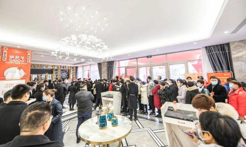 地王实业集团旗下全新“悦”系精装房产品首发亮相阳光城，引领品质生活新浪潮